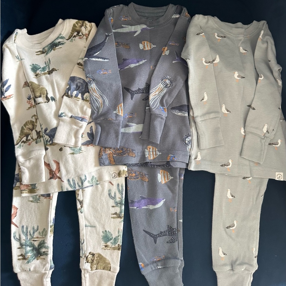 Carter’s Little Planet 2-piece Pajamas 12 months
